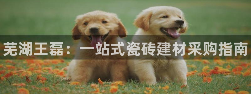 杏鑫注册登录网址是什么