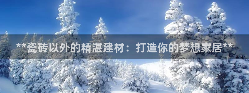 杏鑫平台代理怎么做
