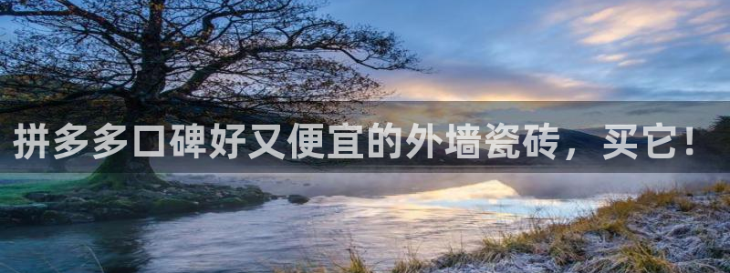 杏鑫注册登录平台