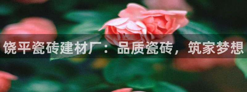 杏鑫平台登录地址在哪