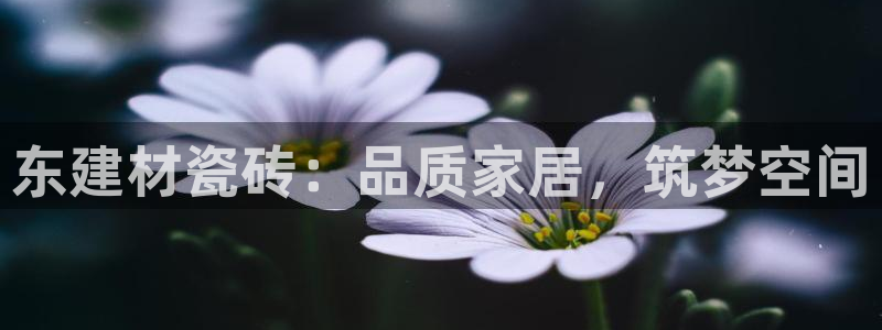 杏鑫平台平台娱乐怎么样