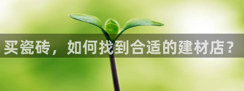 杏鑫官网注册账号是什么样的