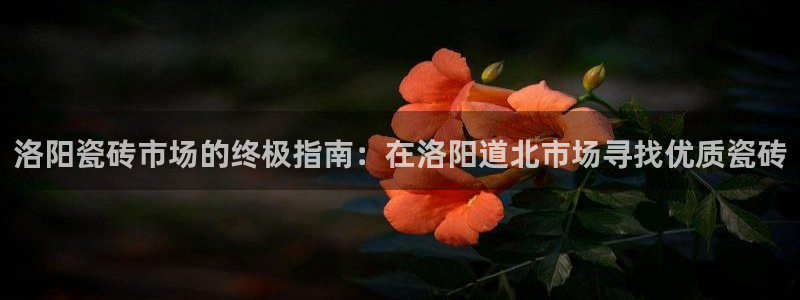 杏鑫官网注册账号