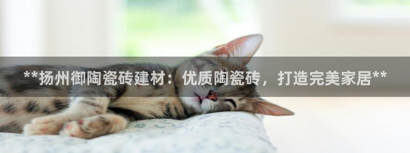 杏鑫有亏损返点吗
