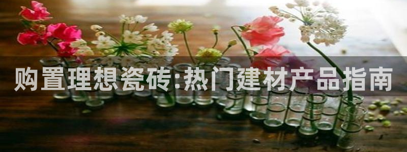 杏鑫平台直属