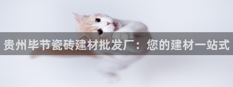 杏鑫官方平台怎么样可靠吗
