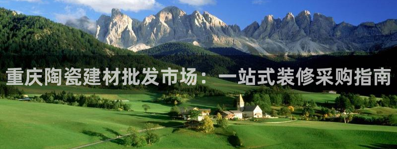 杏鑫官网注册账号是什么样的