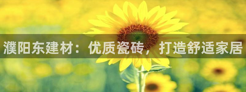 杏鑫平台正规吗是真的吗