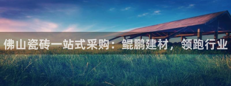 杏鑫平台野马联盟怎么样