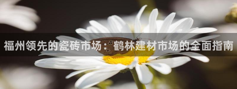 杏鑫娱乐负责人