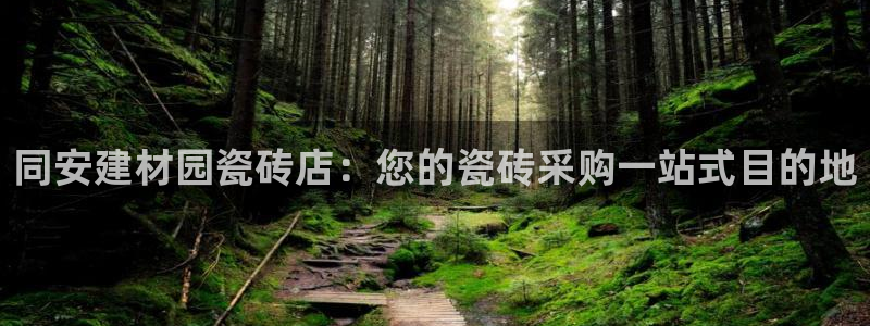 杏鑫平台测速怎么样
