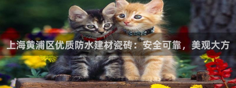 杏鑫平台怎么样