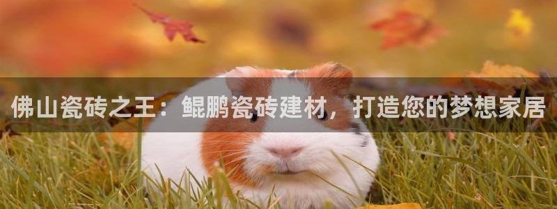 杏鑫平台是黑平台吗