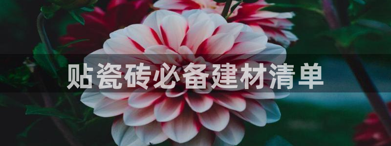 杏鑫平台官方网站