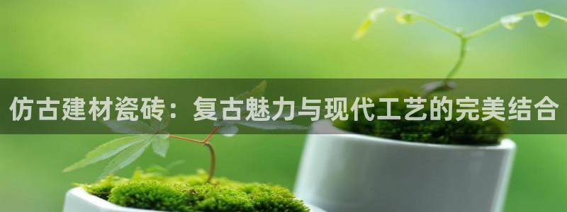 杏鑫平台官方网站