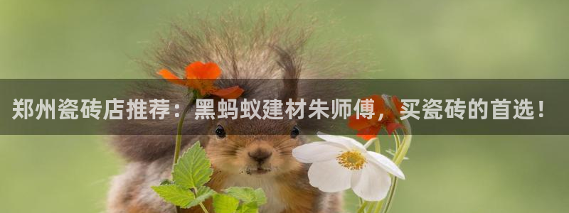 杏鑫平台是黑平台吗是真的吗