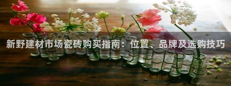 杏鑫平台直属