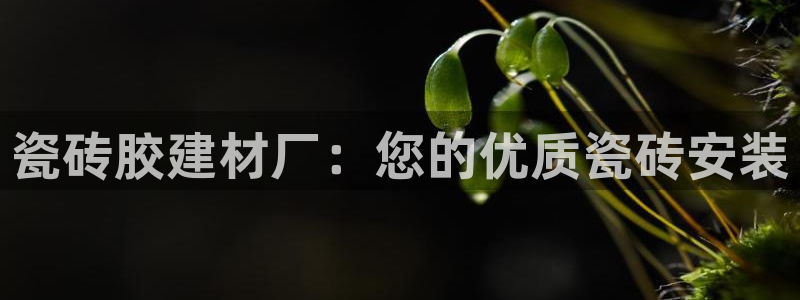 杏鑫平台代理注册多少钱一年