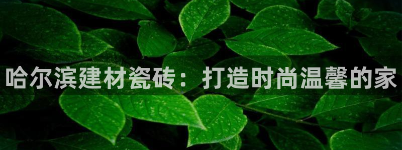杏鑫注册登录网址是多少