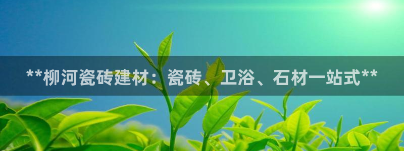 杏鑫平台登录注册