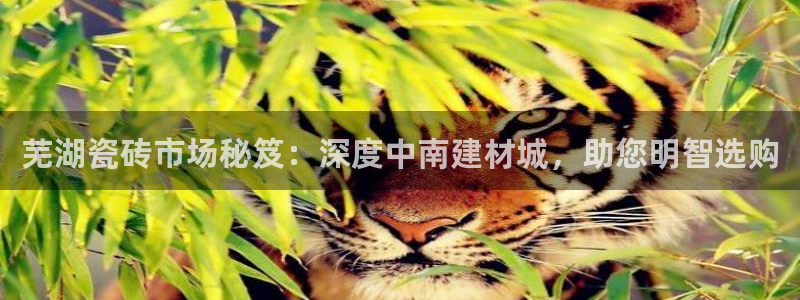杏鑫官网注册账号