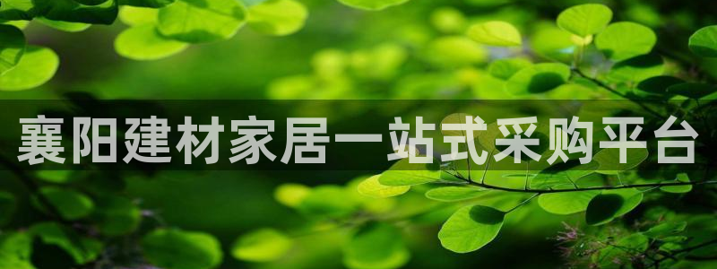 杏鑫平台怎么样知乎