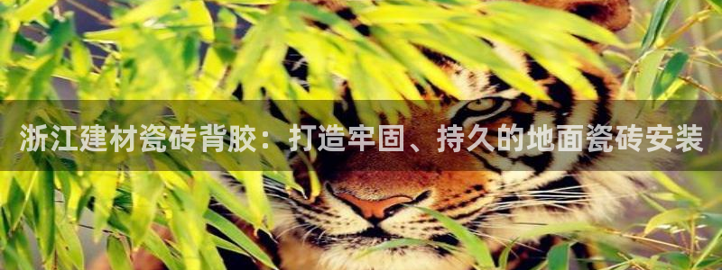 杏鑫平台登录