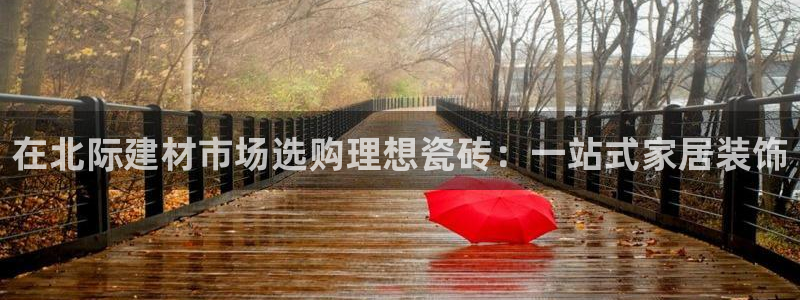杏鑫平台怎么样知乎