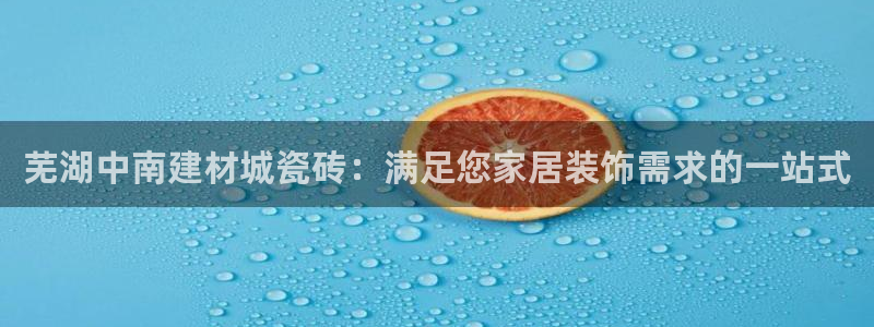 杏鑫代理注册资金多少