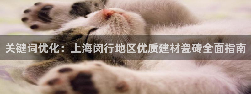 杏鑫注册平台官方网站