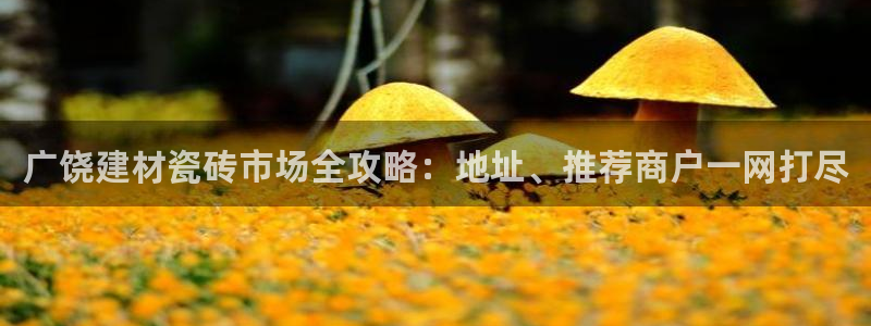 杏鑫娱乐怎么样