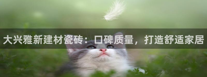 杏鑫代理注册平台
