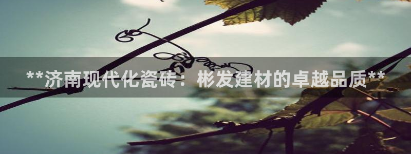 杏鑫注册登录代理公司