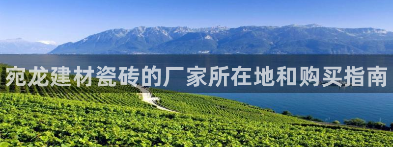 杏鑫官网注册账号密码忘了