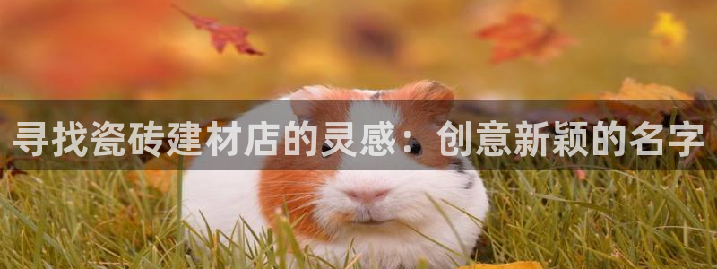 杏鑫平台念7O777