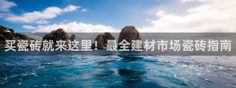 杏鑫有亏损返点吗