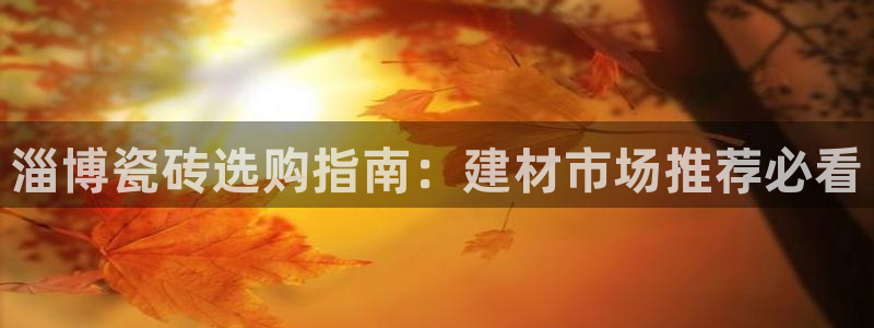 杏鑫有亏损返点吗
