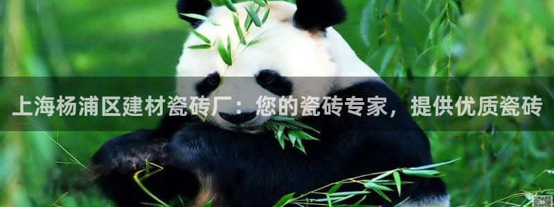 杏鑫平台招商怎么样可靠吗