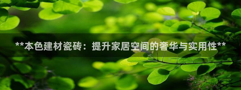 杏鑫娱乐是真的吗