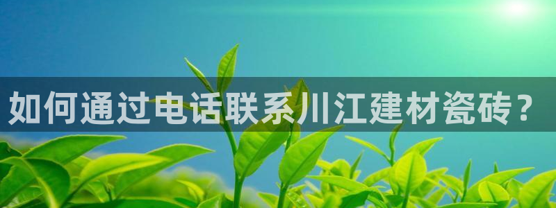 杏鑫代理注册资金多少