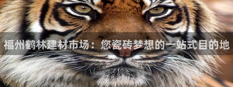 杏鑫娱乐怎么样