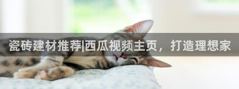 杏鑫官网注册账号是什么