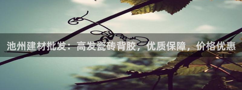 杏鑫3主管