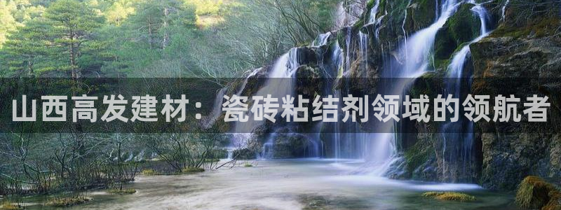 杏鑫平台野马联盟怎么样
