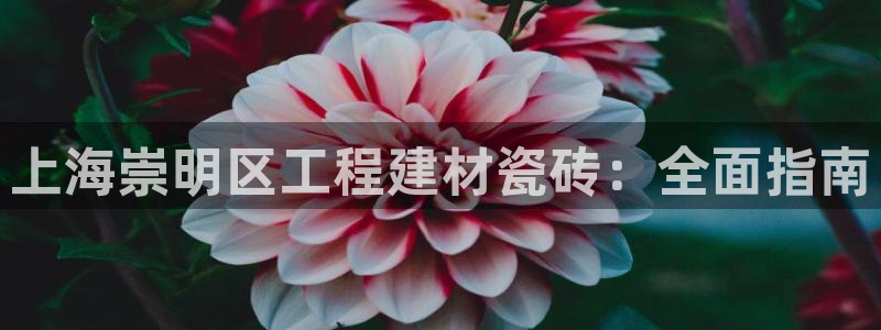 杏鑫平台靠谱吗