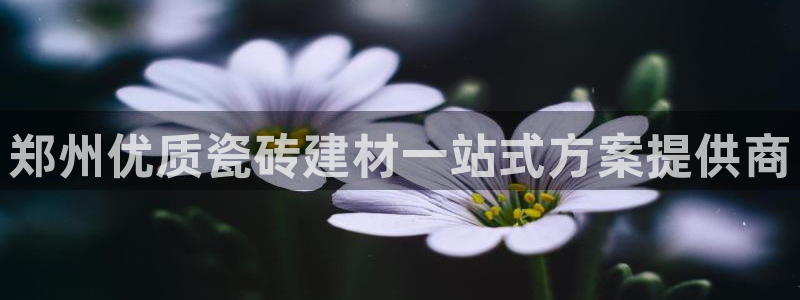 杏鑫娱乐开发团队