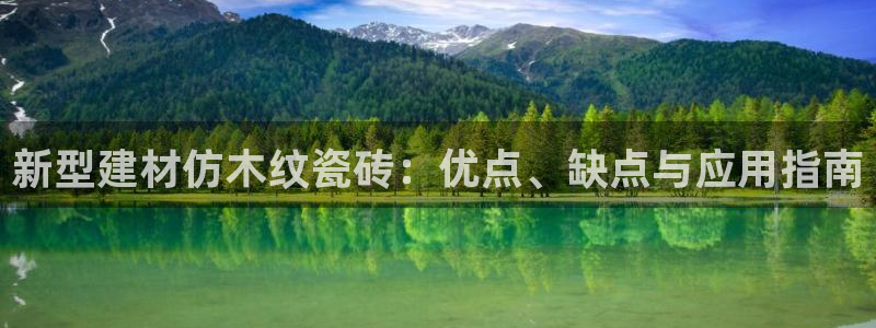 杏鑫代理注册平台