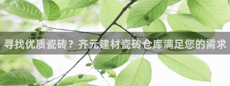 杏鑫招商总代