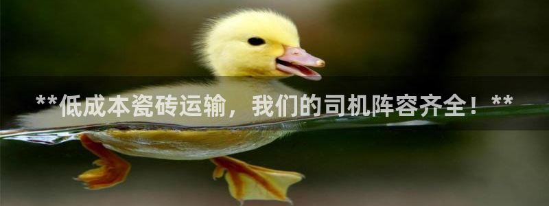 杏鑫官网