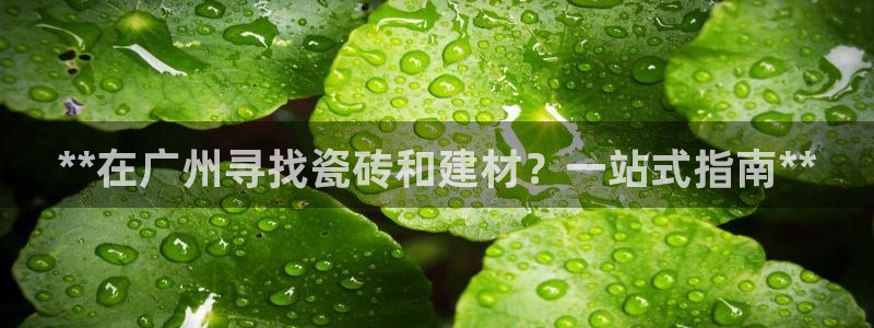 杏鑫平台代理怎么样赚钱